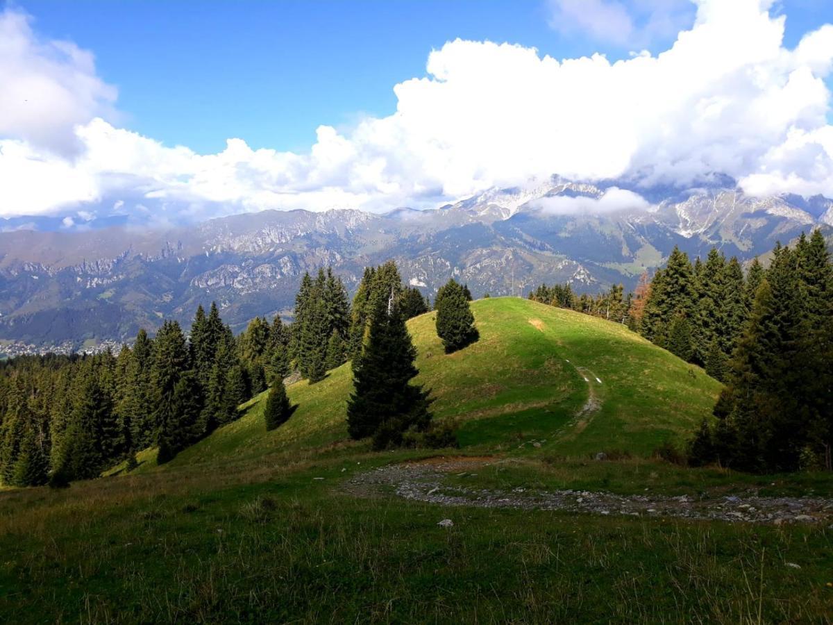 卡斯蒂奥内·德拉·佩雷索181 - Casa Arcobaleno Tra Le Alpi, Piste Da Sci A 15 Minuti公寓 外观 照片